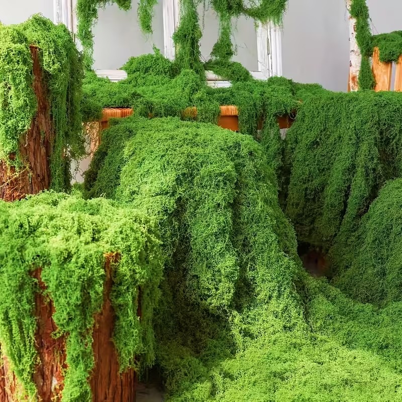 Preserved Moss Sheet - Rumput Buatan Realistis, Rumput Tiruan, Tanaman