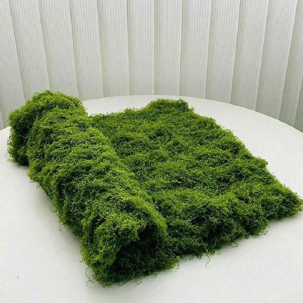 Preserved Moss Sheet - 1*1M Lumut Palsu DIY Kerajinan Rumput