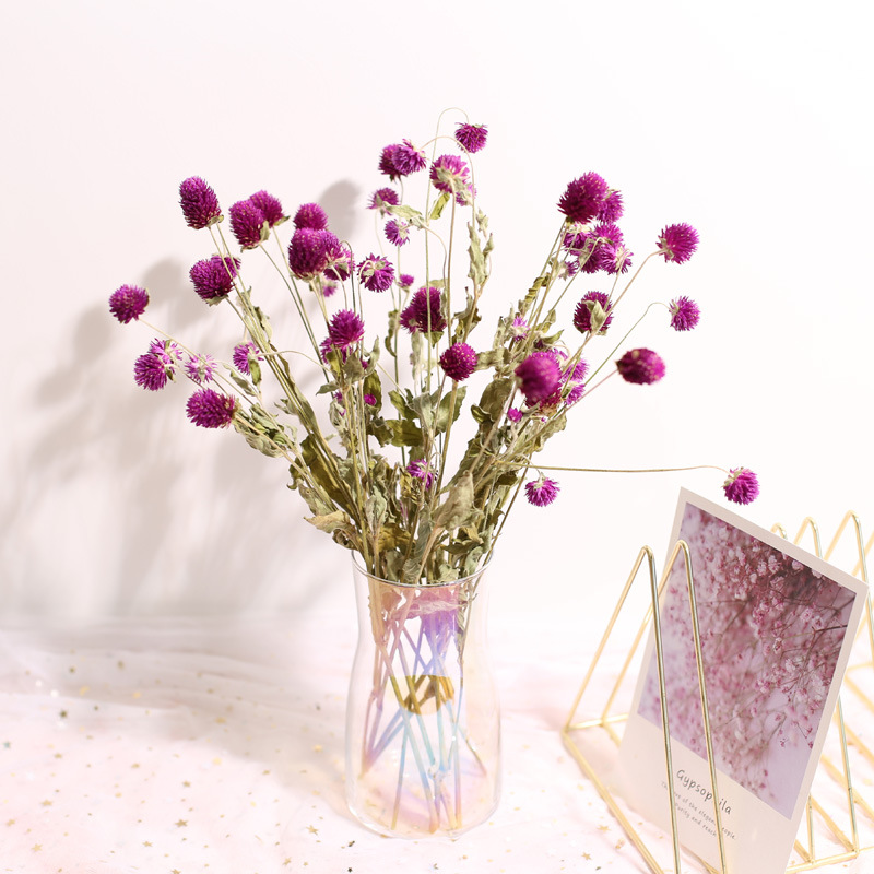 Dekorasi rumah pernikahan hadi - Natural Florist Supply ulasan dan harga