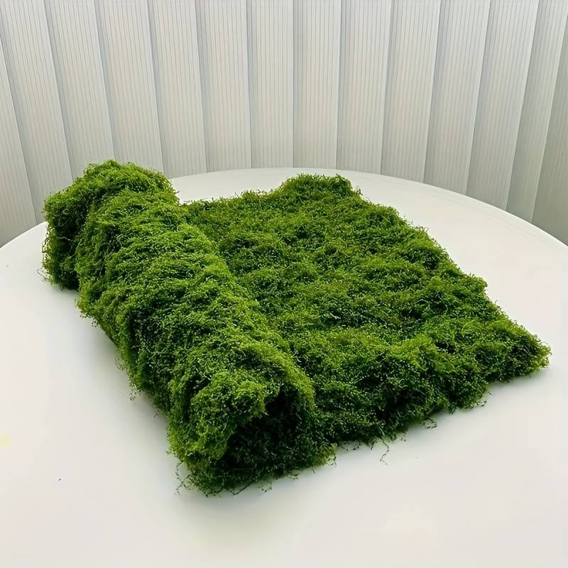 Matras Lumut Palsu 20' X 20' u - Preserved Moss Sheet ulasan dan harga