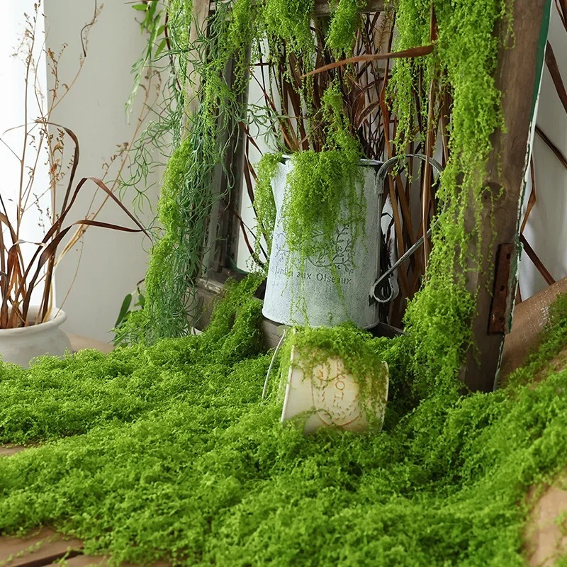 Rumput Buatan Realistis, Rumpu - Preserved Moss Sheet ulasan dan harga