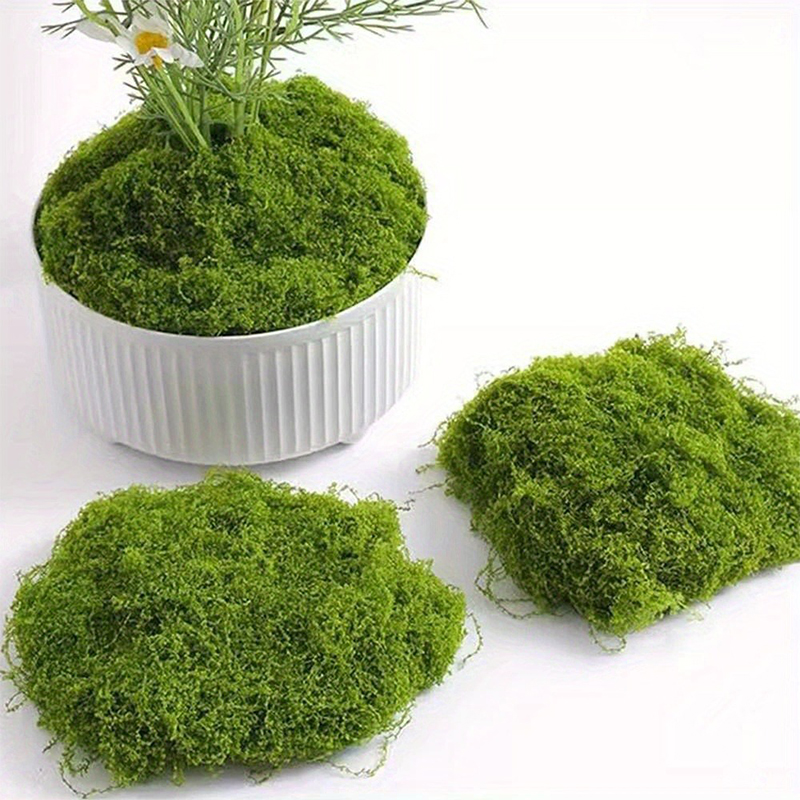 Lumut palsu hijau DIY kerajina - Preserved Moss Sheet ulasan dan harga