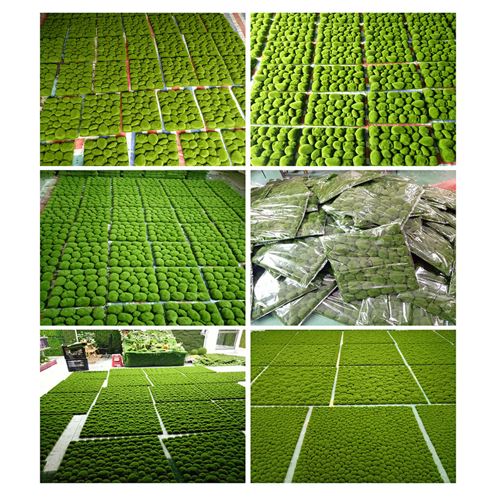 1 Buah 30/32Cm Papan Busa Lumu - Preserved Moss Sheet ulasan dan harga